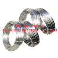 Soft Electro Galvanized Iron Wire with CE